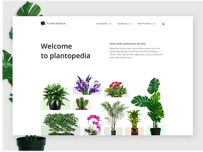 Plantopedia minimal website design design figmadesign minimal product design ui ux vector web webdesign