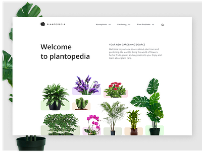 Plantopedia minimal website design design figmadesign minimal product design ui ux vector web webdesign