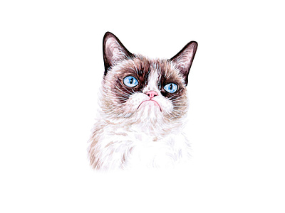 Grumpy Cat animal cat cats cute draw fun funny illustration pet pets watercolor watercolor art