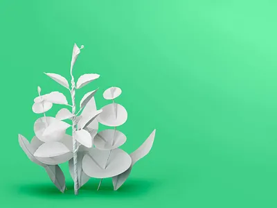 Mindshifts / Green green minimal papercraft photography retouching white