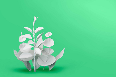 Mindshifts / Green green minimal papercraft photography retouching white