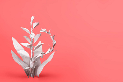 Mindshifts / Red minimal monochrome papercraft photography pink plant red