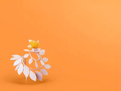 Mindshifts / Orange minimal organge papercraft white