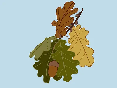 Quercus design drawing graphic illustration illustrator plant plant illustration plants quercus tree tree illustration trees vector
