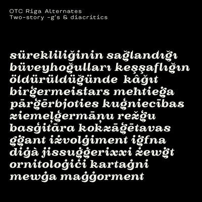 OTC Riga Diacritics character font font design fonts glyph type type design typedesign typeface typography