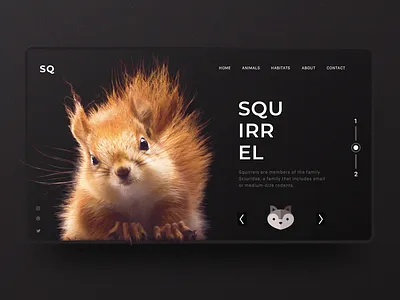 Squirrel Inspiration Web Design designinspiration inspiration interaction interactiondesign ui uidesign uitrends ux uxdesign web