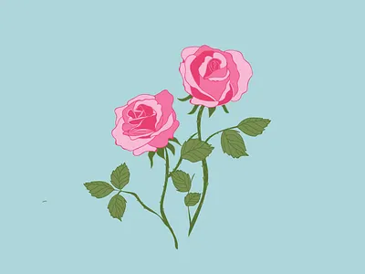 Rose design drawing flower flower illustration flowers graphic illustration illustrator plant plant illustration plants rose roses vector