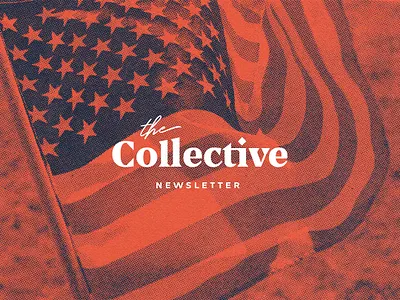 The Collective Brand Identity brand brand design brand identity branding branding design halftone logo logo design logotype newsletter political politics serif logo vote wordmark