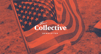 The Collective Brand Identity brand brand design brand identity branding branding design halftone logo logo design logotype newsletter political politics serif logo vote wordmark