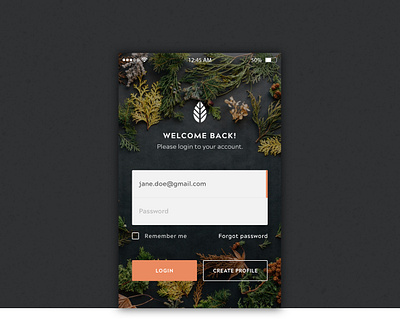 Autumn Inspiration Login app ui autumn branding login form web design