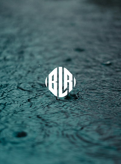 BLR australia branding design dubai flat icon illustrator logo type typography vector