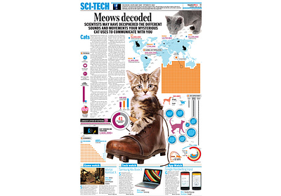 Meows decoded, Page Design branding design flat graphic design icon illustration logo news design newspaper page design print publishing typography vector