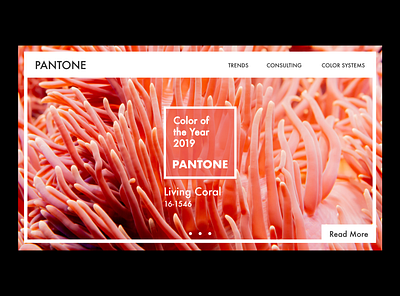 Pantone Homepage Concept agency color color of the year concept coral creative homepage landing page living coral pantone user experience user interface ux uxui web design web design agency web designer