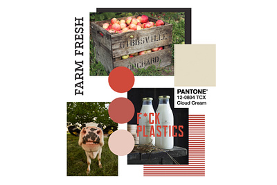 Lost Apple Dairy Farm Collage brand design brand designer branding branding design collage farm graphic design illustration illustrator logo logo design logo designer moodboard package design packaging photoshop