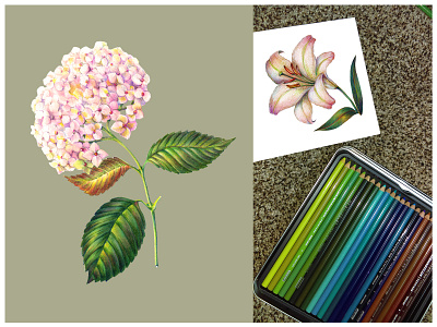 Flowers colored pencils. art bouquets card color decor design flowers greeting handiwork holiday illustration pencil