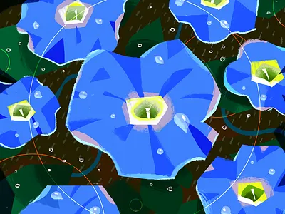 Morning Glory art color colors design digital digital painting digitalart drawing flowers flowers illustration graphic graphic design illustration painting shapes