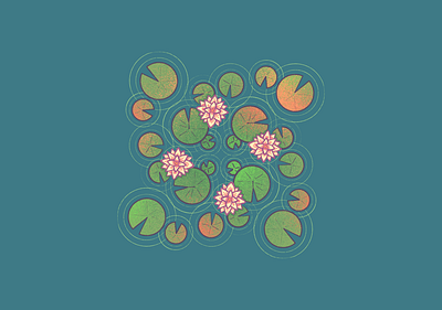 Lily Pads artwork illustration lilypad lilypads lotus procreate