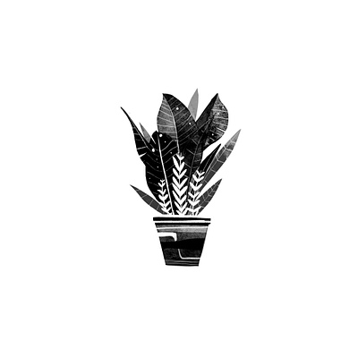 Plant illustration art artwork design illustration organic photoshop plant