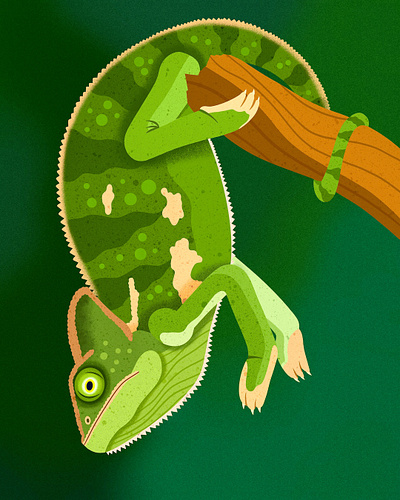 Chameleon animals childrens books colorful design digital art editorial editorial illustration graphic art illustration illustrator nicole wilson