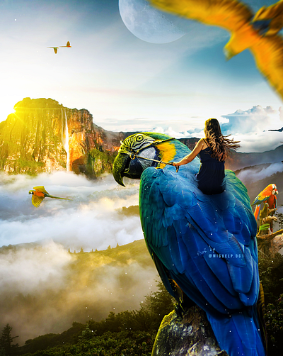 Amazonas - salto angel adobe art artist artwork creative design designinspiration digitaldesign dribbble graphicdesign guacamaya ilustrations