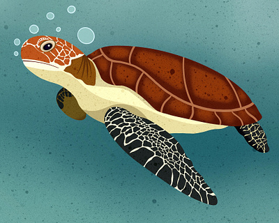 Sea Turtle animal animal illustration animals childrens books design digital art editorial editorial illustration icon illustrator nicole wilson sea turtle