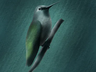 Bird bird dark design green illustration nature outdoor