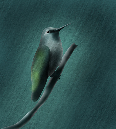 Bird bird dark design green illustration nature outdoor