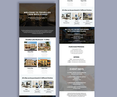 Electronic newsletter: Lake Boulevard digital investment marketing newsletter web