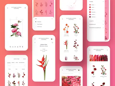 Flower Channel Design app clean colorful design flowers interface minimal minimalistic mobile pink product design red ui ui ux ui design uidesign web design white