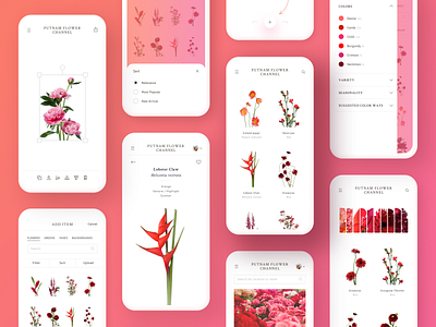Flower Channel Design app clean colorful design flowers interface minimal minimalistic mobile pink product design red ui ui ux ui design uidesign web design white