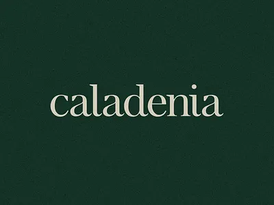 Caladenia branding logo logotype organic premium serif skincare typography wordmark