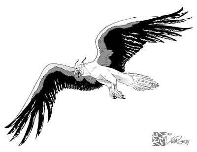 Harpyacalgryph character design conceptart design drawing epicmade fantasy illustration