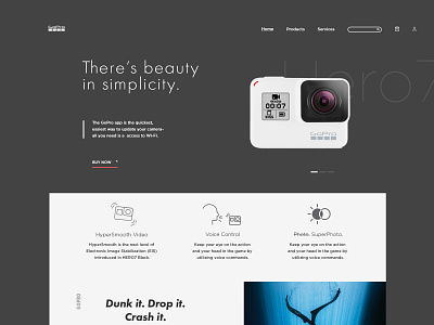 GoPro Site Exploration brand branding branding design camera dailyuichallenge illustration landing page landing page ui landingpage layout page shop typogaphy ui uiux ux watch webdesign website