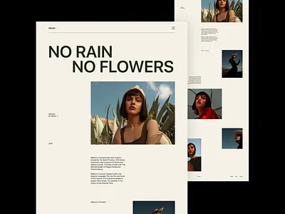 NO RAIN NO FLOWERS clean design minimal web design website
