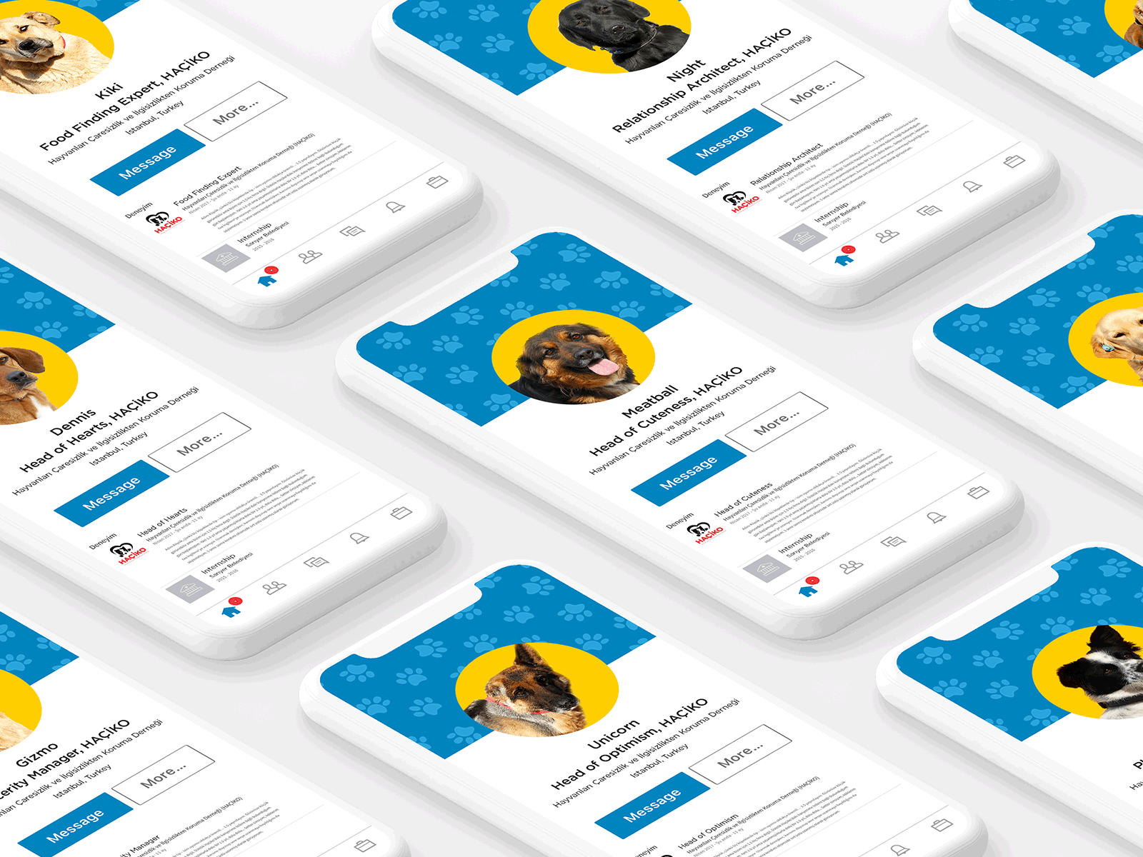 Dogs Looking for Jobs - Lınkedin Profiles animation branding design flat gif illustration logo typography ui ui ux ui design ux