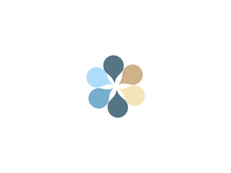 City & Sea Spinner color study design challenge motion study pallette of the day seattle spinner