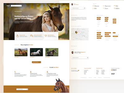 Horse Deal :: Landing Page Design homepage landing page ui ux