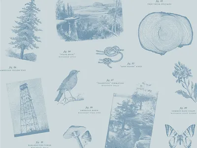 s&r | 1 collage encyclopedia ephemera nature vintage wedding wisconsin