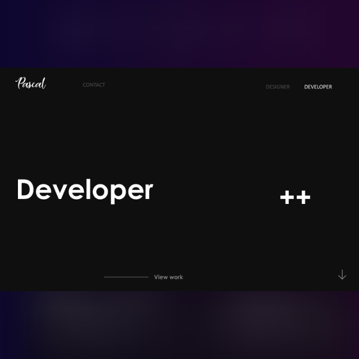 Example of developer portfolio