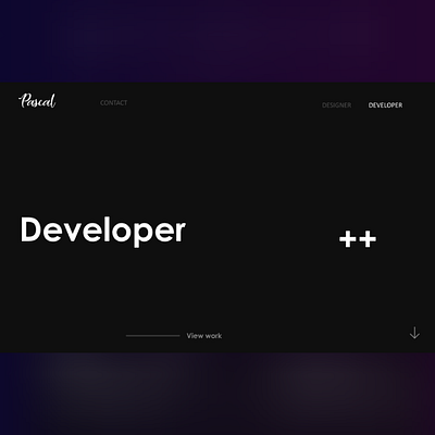 developer portfolio branding design web