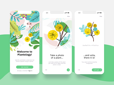 Nature app illustrations app app design design drawing flat flower identification illustration ios mobile ui nature onboarding screens plant simple steps typography ui ux vector web