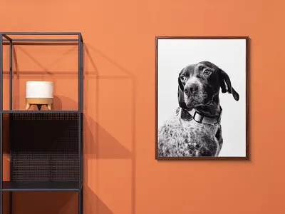 Poster Frame Mockups artwork branding bundle canvas download frame identity illustration mockups print psd stationery template typography