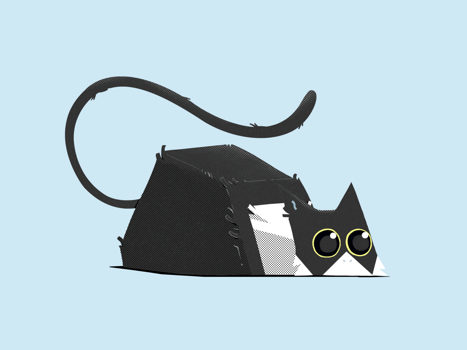 Snappy (progress) 2d animation cat celanimation gif snappy