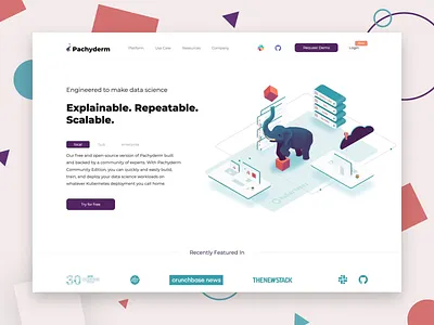 Pachyderm Motion b2b business data geometic illustraion isometric art landing motion science