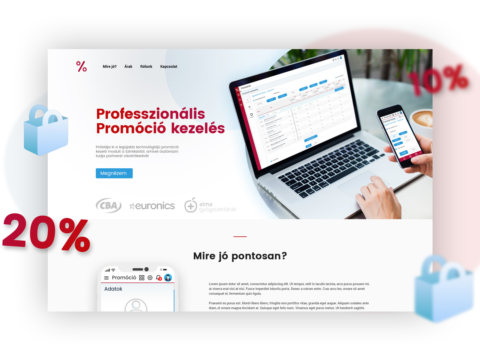 Example of Landingpage hero