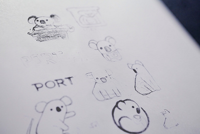 Port Stephens Koalas - Drafting Process 2 brand branding branding design denoffoxes design draft drafting stage graphic design graphicdesign graphicdesigner koala logo port stephens koalas sketches