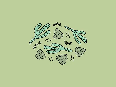 TX Cacti cacti design green illustration texas vector