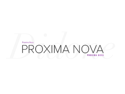 Type Style Exploration didone proxima nova typography