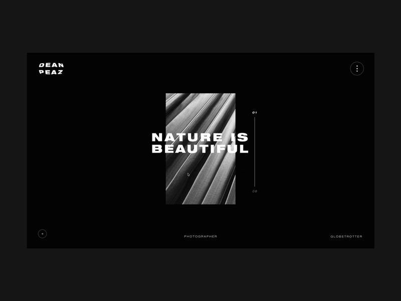 Photographer portfolio website branding drylikov homepage portfolio portfolio design prototype prototype animation ui uidesign uiux ux uxdesign webdesign website