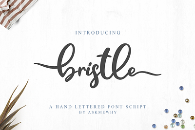 Bristle - Handlettered font script branding calligraphy font font design font script handlettering logotype retro font script typeface vintage font